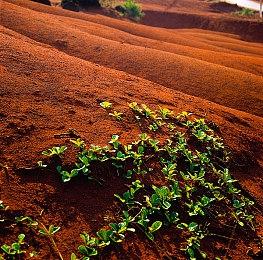 《对马岛之魂》Steam国区售价调整 永降16元