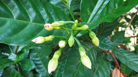 史克威尔推出《勇者斗恶龙：寻宝探险团》PC版